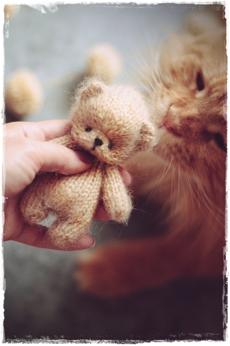 Small Teddy Bear Knitting Pattern