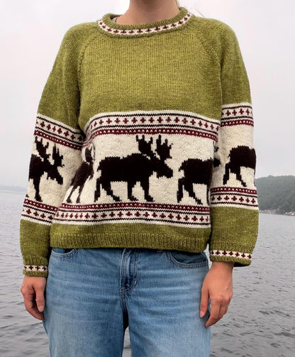 Moose Raglan KNITTING PATTERN